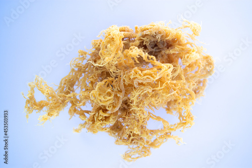 Fotografia St. Lucian Golden Sea Moss,  Euchema Cottonii