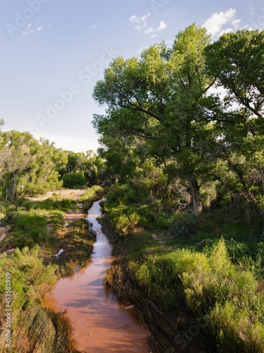 San Pedro River 01