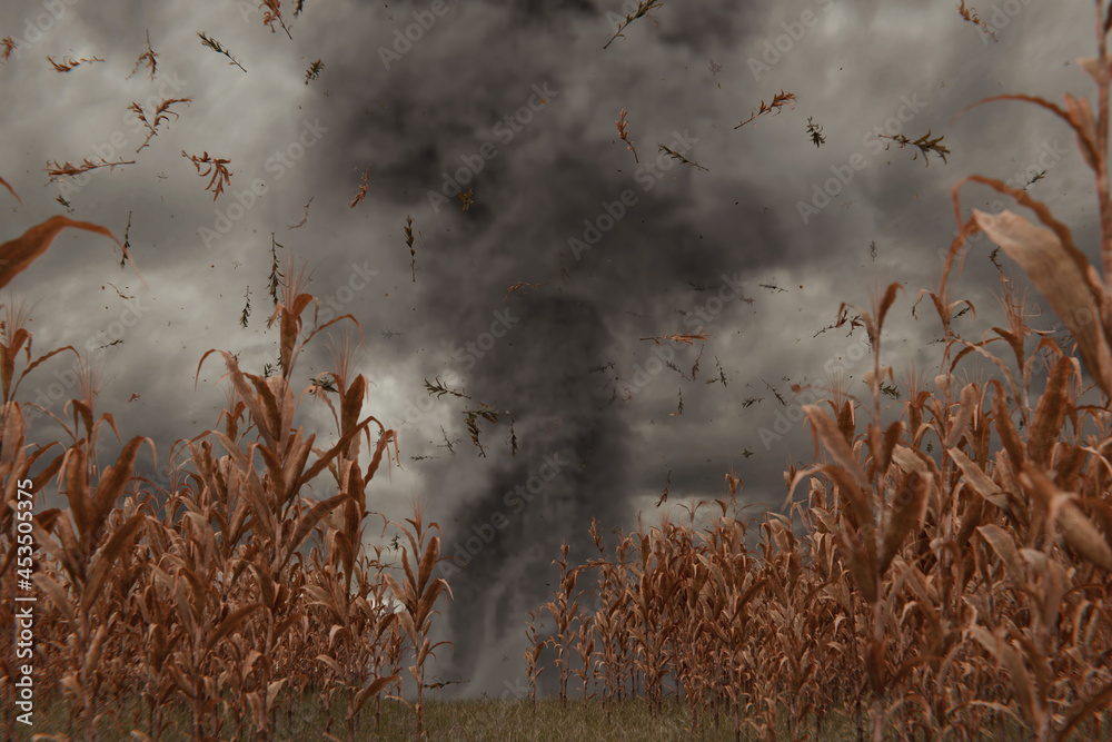 Αυτοκόλλητο 3d Rendering of withered cornfield in front of dramatic sky and tornado