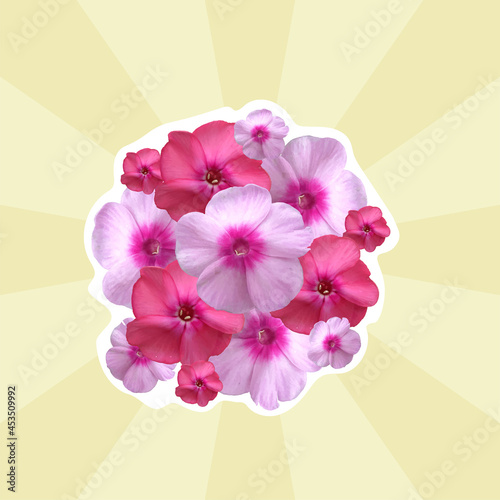 sticker 19