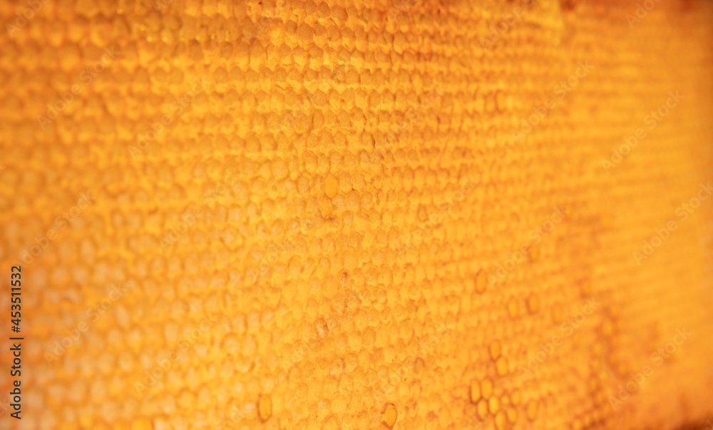 Obraz premium Honey in honeycombs