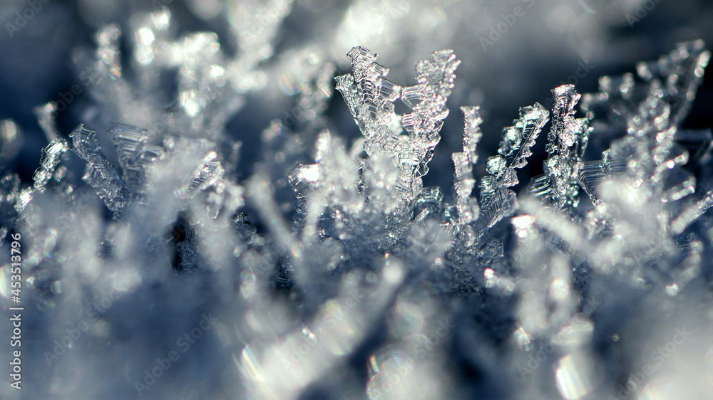 ice crystals closeup winter frost. The patterns made by the frost, hoarfrost background. macro photo, winter frosty background. cold season, winter season, low temperature. text ice crystals closeup winter frost. The patterns made by the frost, hoarfrost background. macro photo, winter frosty background. cold season, winter season, low temperature. text