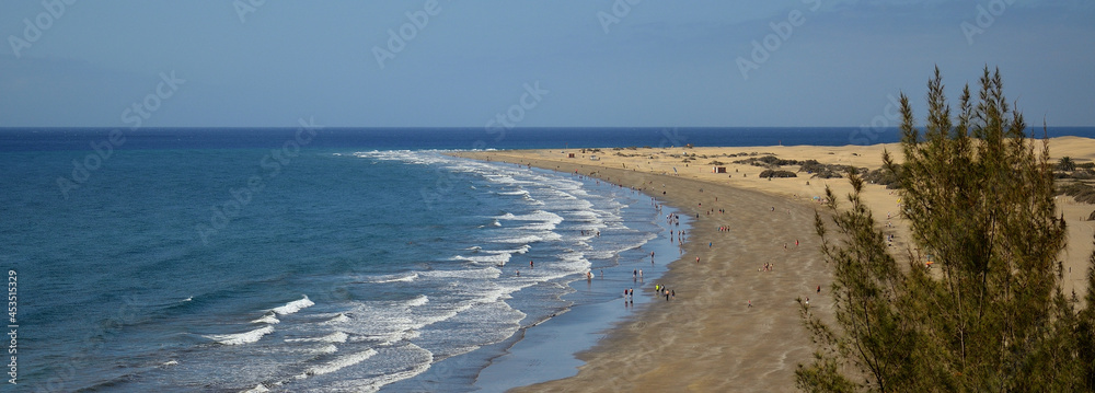 Panoramic image with tree in foreground and large sandy beach, Playa del Ingles, south of Gran Canaria