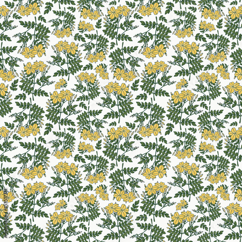 Seamless botanical light pattern with wild jasmine flowers
