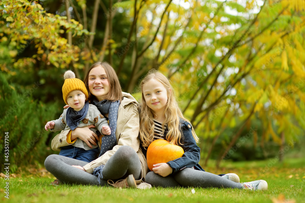 Fototapeta premium Two cute young girls and their baby brother holding a small pumpkin on sunny autumn day. Kids trick or treating on Halloween.