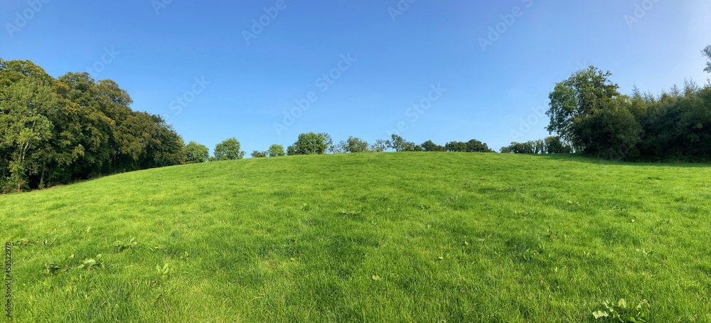Obraz premium green meadow against blue sky