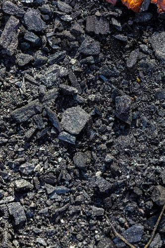 Wallpaper Mural Black coal. Scattered pieces of coal. Camping fire. Black background Torontodigital.ca