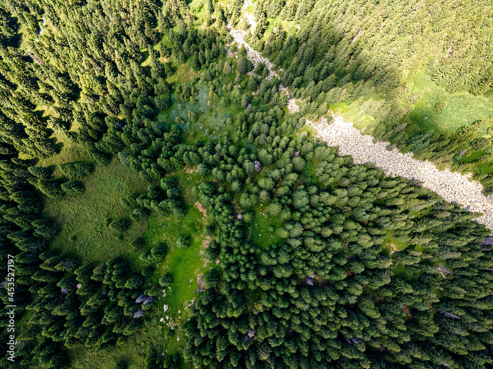 Aerial view of Konyarnika area at Vitosha Mountain, Bulgaria