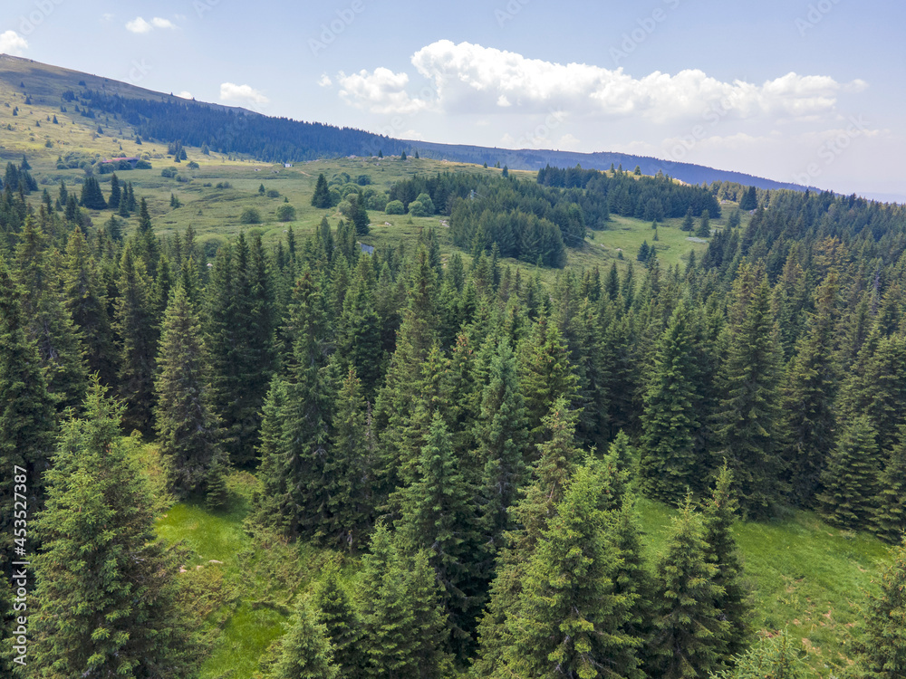 Aerial view of Konyarnika area at Vitosha Mountain, Bulgaria