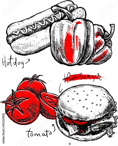 Simply food illustration. Classic hand drawn sketch with hot dog, hamburger, tomatoes isolated on white background.	