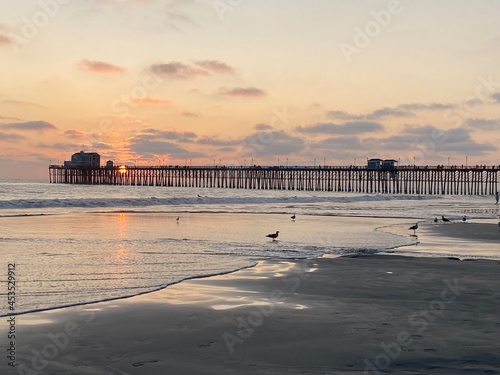 sunset on the beach © Laurel