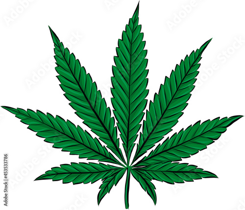 Sketch of Marijuana leaves, cannabis on white background
