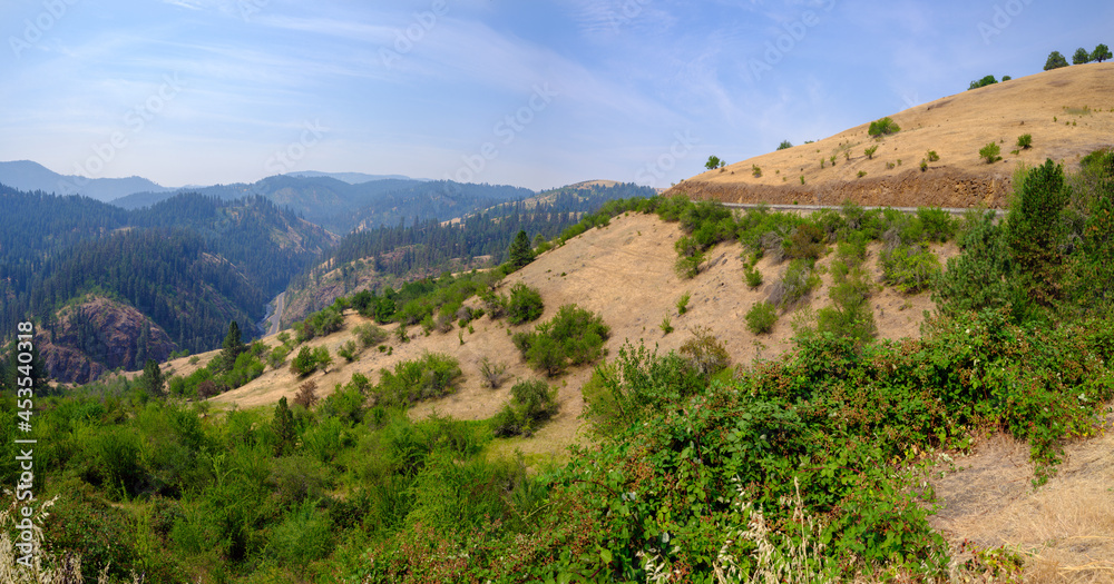 A panoramic view of Nez Perce National Forest near Grangeville, Idaho, USA
