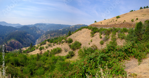 A panoramic view of Nez Perce National Forest near Grangeville  Idaho  USA