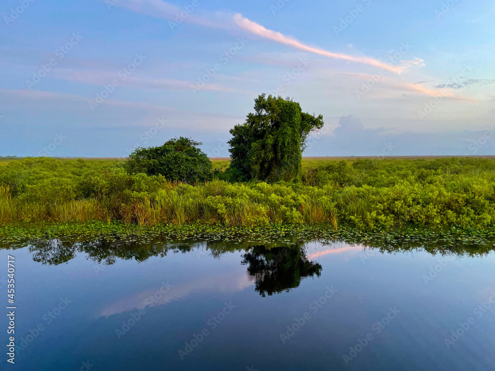 sun setting in the marsh of the bayou sun setting in the marsh of the bayou