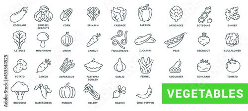 Vegetable icon set. Minimal thin line style. Outline icons collection vegetables zucchini  tomato  radish  mushroom  ginger  fennel  corn  celery. Vector illustration Design on white background EPS 10