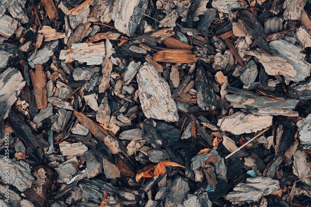 Decorative wood chips texture . close up Decorative wood chips texture . close up