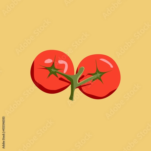 vector image of 2 fresh tomatoes with 1 green stalk