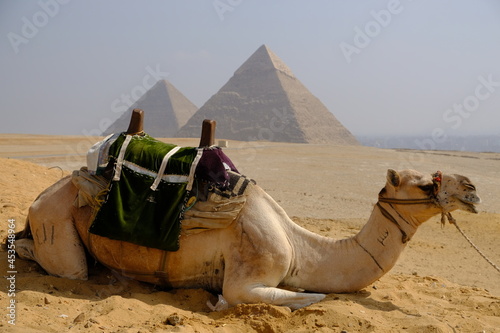 Egypt Cairo - Tour Camel and The Great Pyramid of Giza plus Pyramid of Khafre