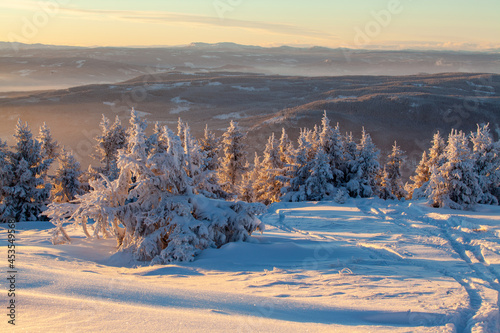 Ski trail crosses valley among snow-covered fir trees at sunset at ski resort.