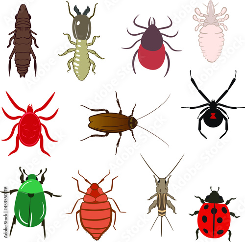 Big Set of Flea Lice Tick Termite Bedbug Cockroach Spider Ladybug Cricket Mite Beetle Vector Illustration Fill and Outline Isolated on White Background © CreativeChamber