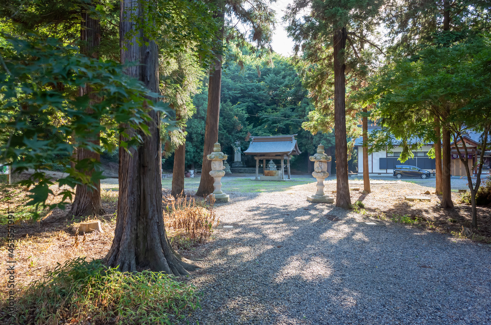 sarashina shrine srrounded by tall trees in nagano prefecture, japan