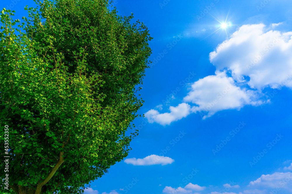 太陽の日差しと爽やかな青空と雲の背景素材_d_18