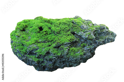 Rock covered in green moss isolated on white background