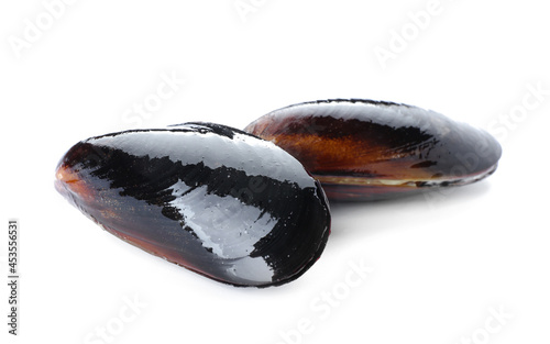 Fresh mussels on white background