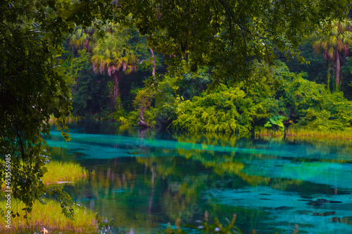 Rainy day at Rainbow Springs State Park in Florida photo