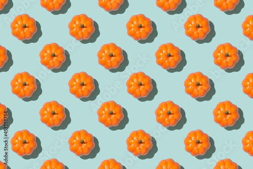 Wallpaper Mural Top view photo of orange pumpkins on isolated light blue background Torontodigital.ca