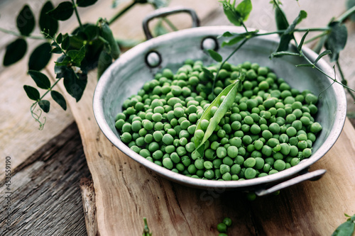 Fresh green peas in a plate. Peas in a pod. Country style