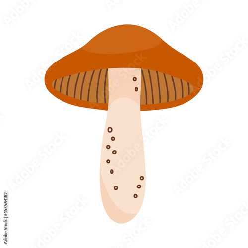 Orange russula mushroom in flat style. Hand drawn vector illustration of edible wild forest mushroom. Autumn symbol, organic food icon. Isolated element for design