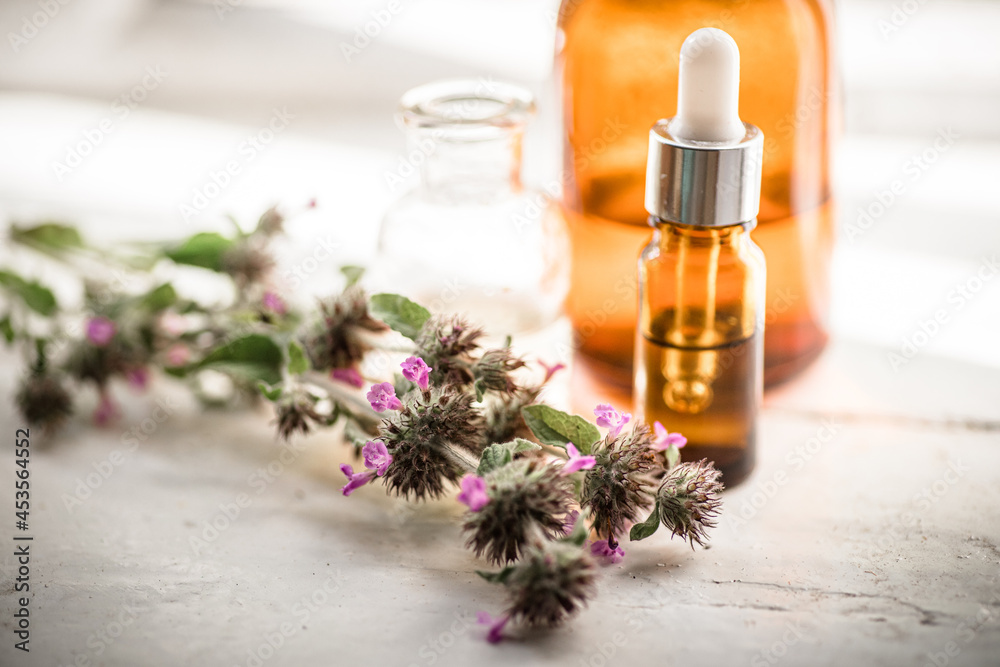 Flowers Wild basil , Clinopodium vulgare or Satureja vulgaris close-up near cosmetic bottles with a pipette and oils made from medicinal herbs. Flowers Wild basil , Clinopodium vulgare or Satureja vulgaris close-up near cosmetic bottles with a pipette and oils made from medicinal herbs.