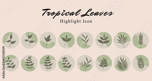 Set of tropical leaf botanical icon social media highlight story template banner with green abstract wave background.