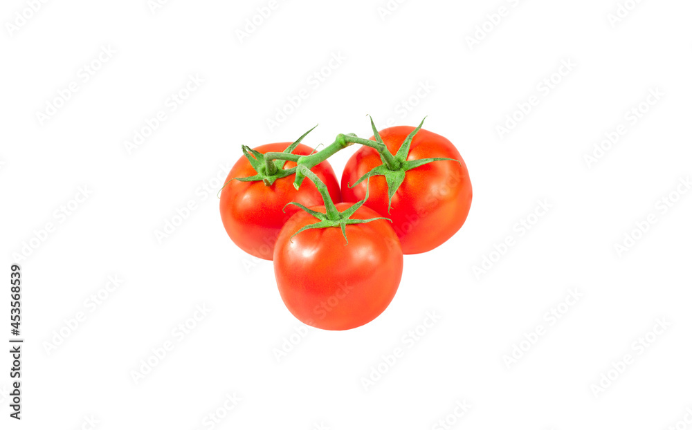 isolated ripe tomatoes on a branch on a white background isolated ripe tomatoes on a branch on a white background