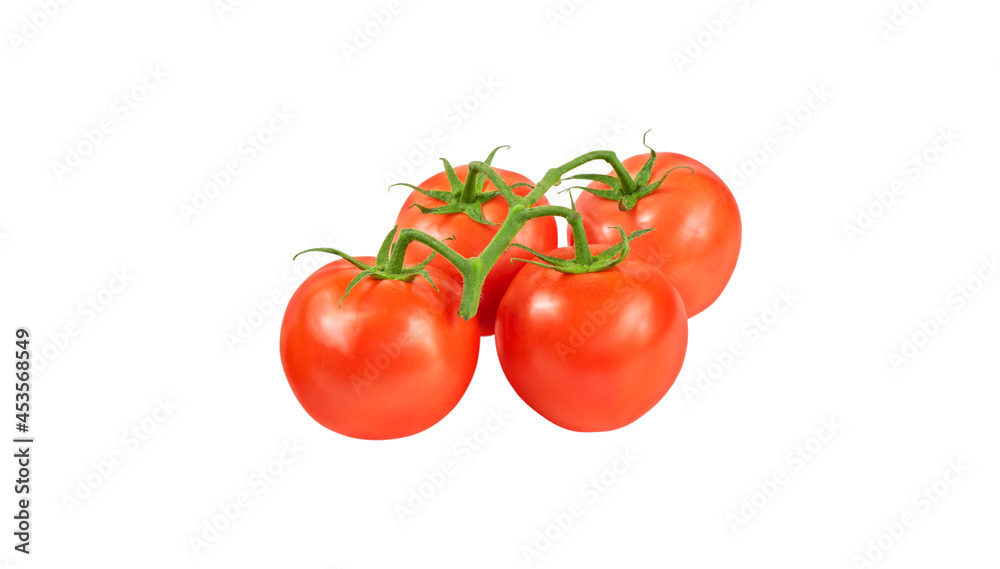 isolated ripe tomatoes on a branch on a white background isolated ripe tomatoes on a branch on a white background