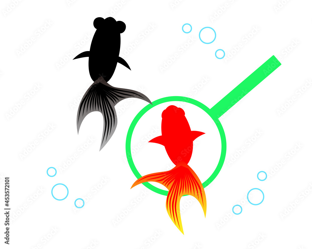 夏祭りのイラスト素材 金魚すくい Stock Vector | Adobe Stock