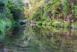Borosa river between vegetation reflected in its waters, Sierra de Cazorla.