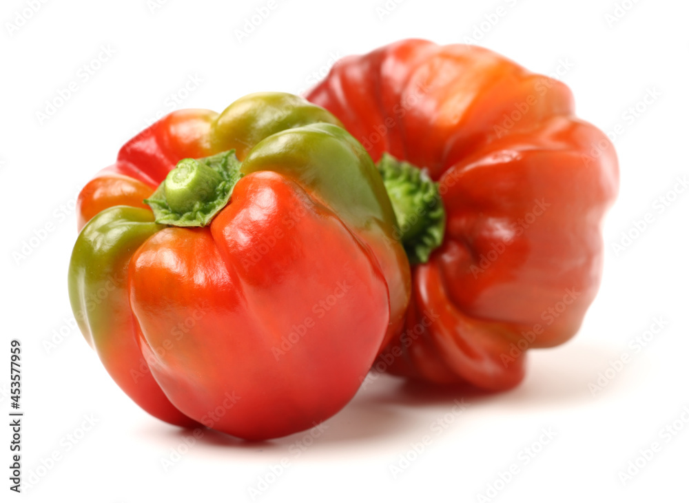 fresh red pepper on a white background fresh red pepper on a white background