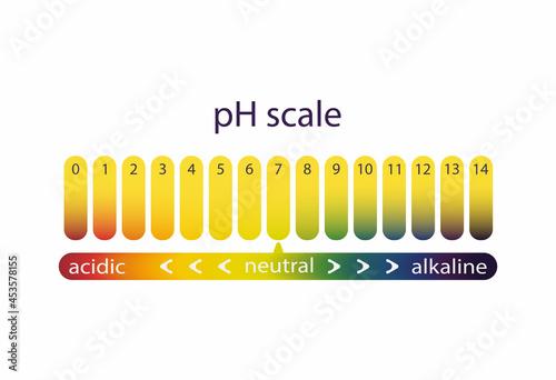 Acidity scale of litmus indicator paper, color gradient