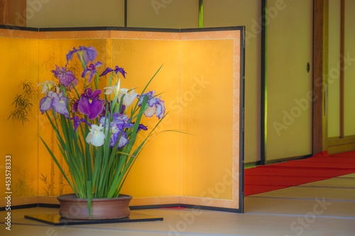 金屏風と菖蒲の花 photo