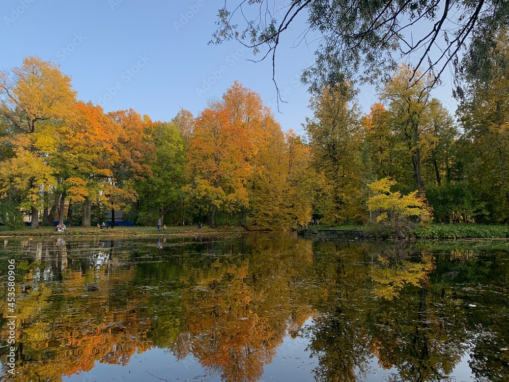 Naklejka premium autumn trees reflected in water