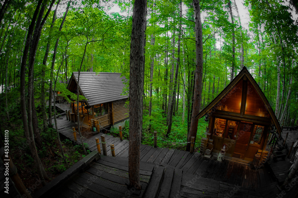 森の中に立つロッジのイメージ Stock 写真 Adobe Stock