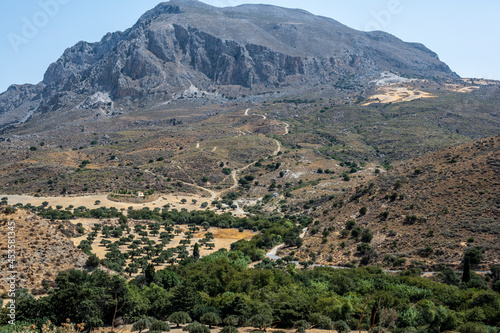 typical rural landscape with olive trees and mountains and sea of ​​Crete © константин константи