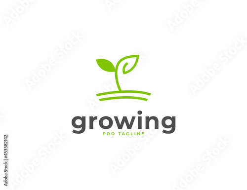 Growing seed with green leaves farm logo