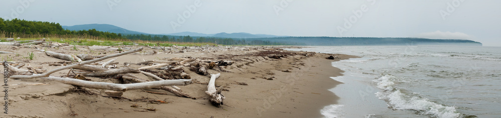 Logs on the bank of the Koppi River