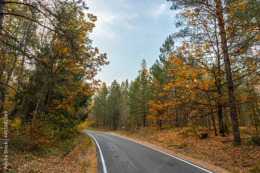 curvy desert road in autumn forest