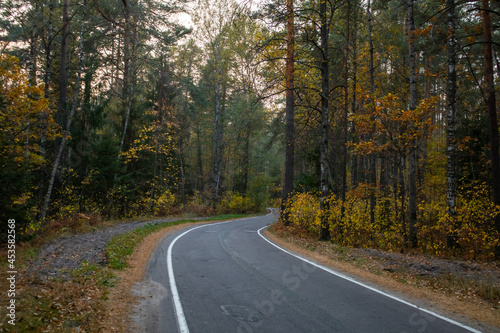 Winding road curves through an autumn forest
