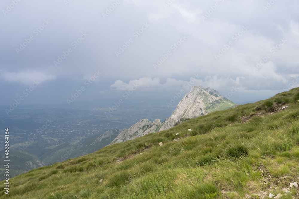 Mountain meadow in the Polish Tatras